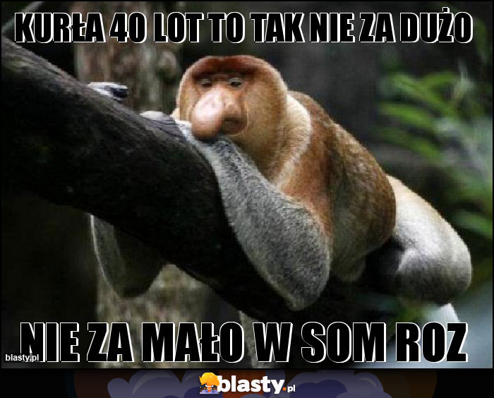 KURŁA 40 LOT TO TAK NIE ZA DUŻO