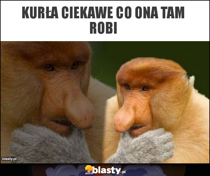 Kurła ciekawe co ona tam robi