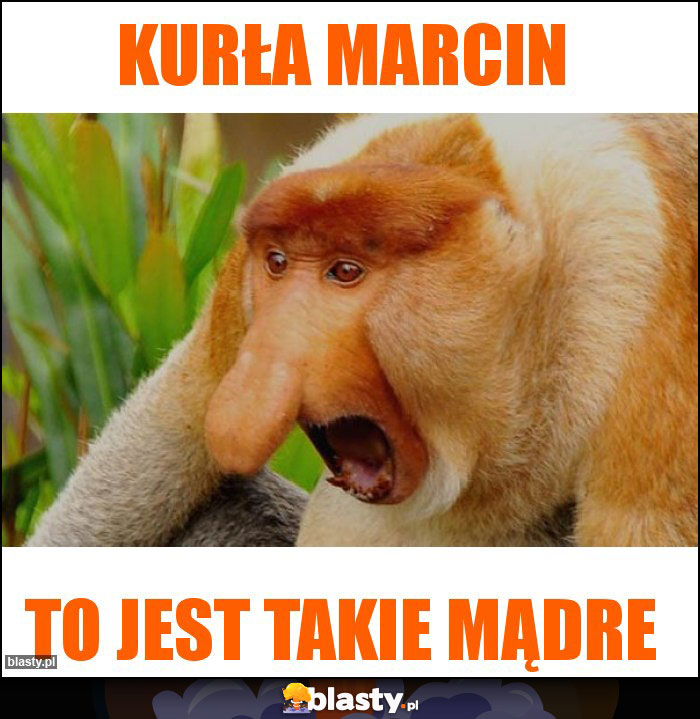 KUrła marcin
