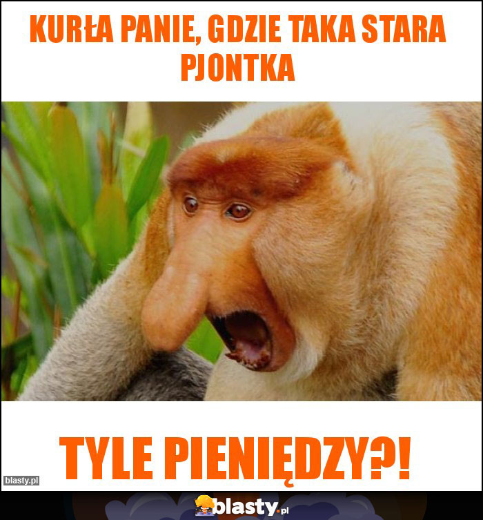 Kurła panie, gdzie taka stara pjontka