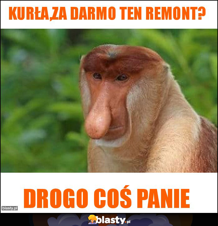 Kurła,za darmo ten remont?
