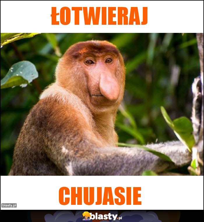 Łotwieraj