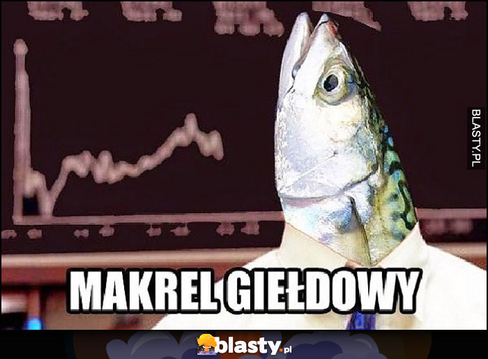 Makrel giełdowy ryba makrela