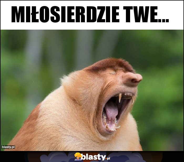 MIŁOSIERDZIE TWE...