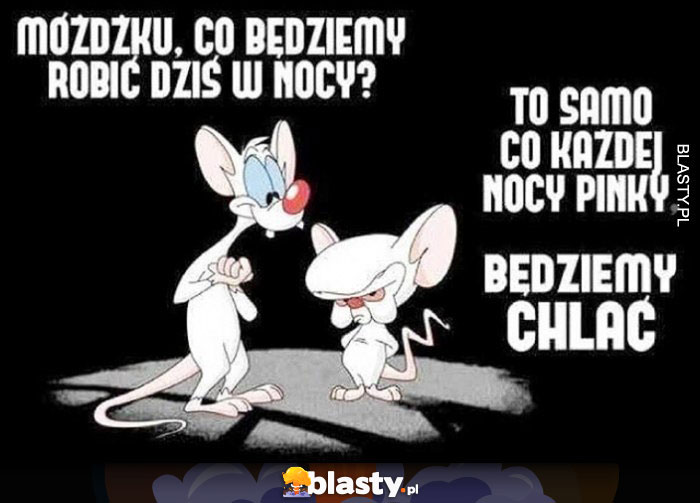 Móżdżku co będziemy robić dziś w nocy? To samo co każdej nocy pinky, będziemy chlać