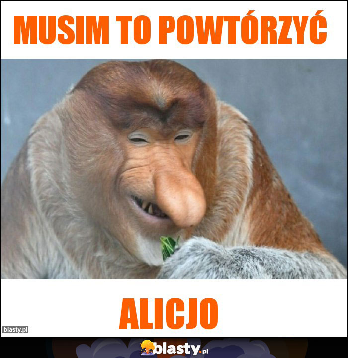 musim to powtórzyć