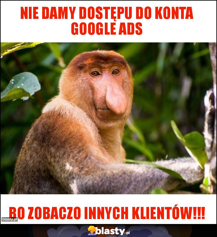 Nie damy dostępu do konta Google Ads