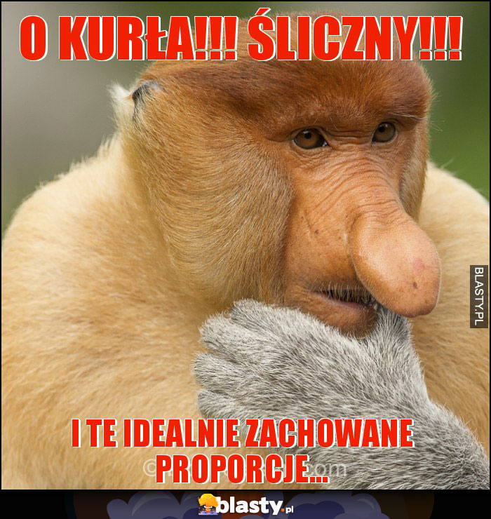 O kurła!!! Śliczny!!!