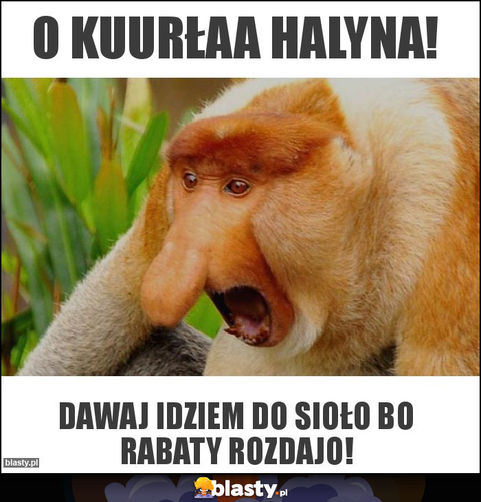 O kuurłaa halyna!