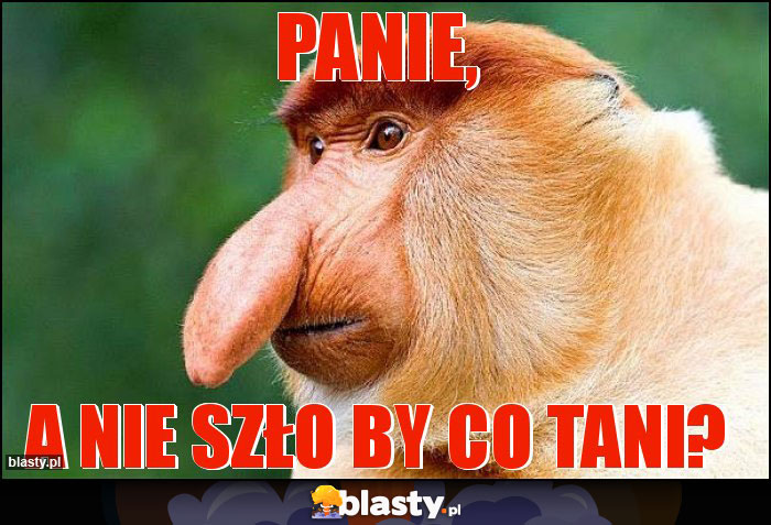 Panie,