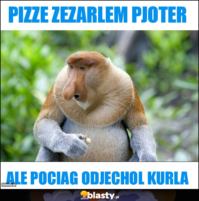 Pizze zezarlem Pjoter