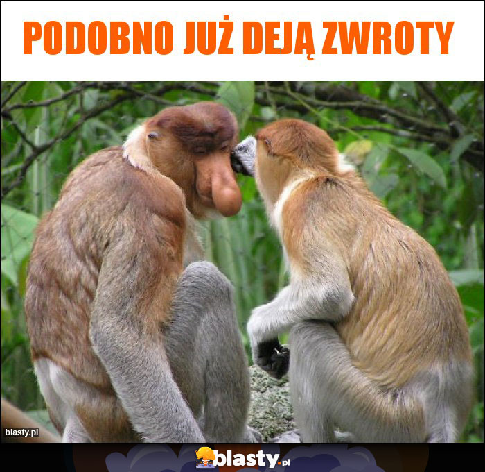 Podobno już deją zwroty