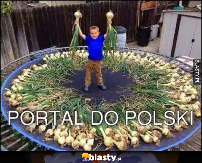 Portal do Polski batut trampolina cebule