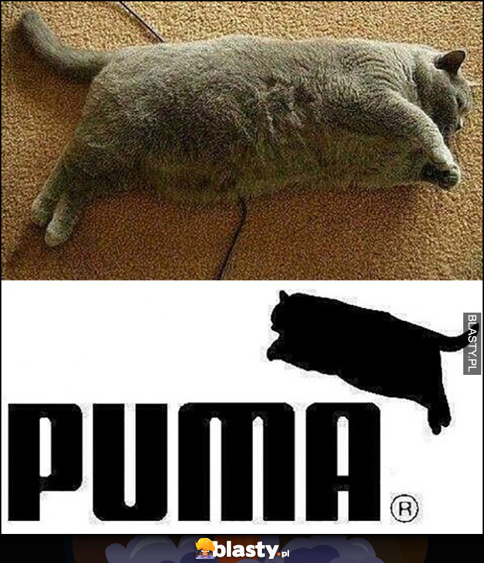 Puma gruby kot przeróbka logo