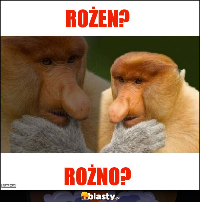 Rożen?