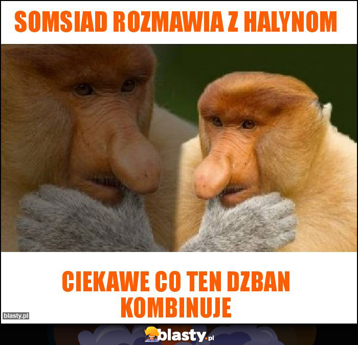 Somsiad rozmawia z Halynom