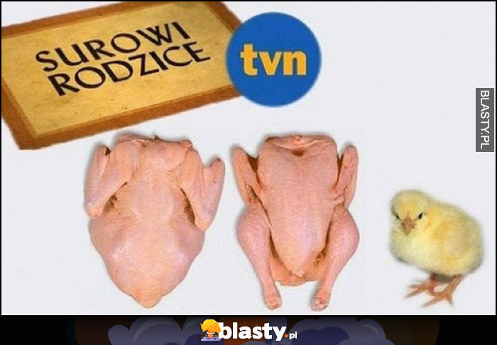 Surowi rodzice program TVN kurczak surowy