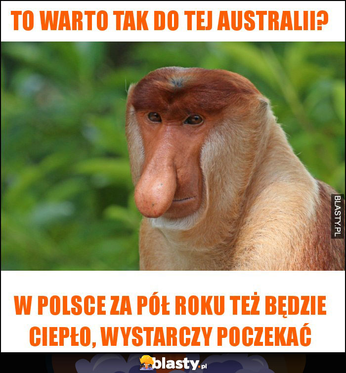 To warto tak do tej Australii?