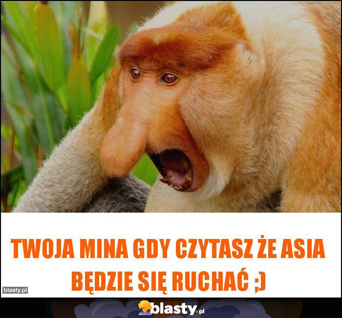 Twoja mina gdy czytasz że Asia będzie się ruchać ;)