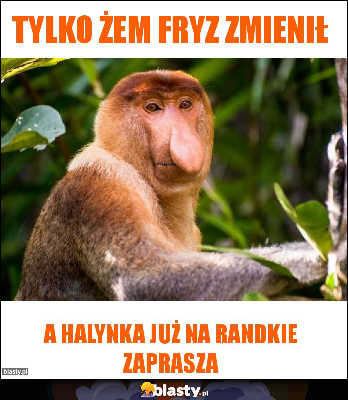 Tylko żem fryz zmienił