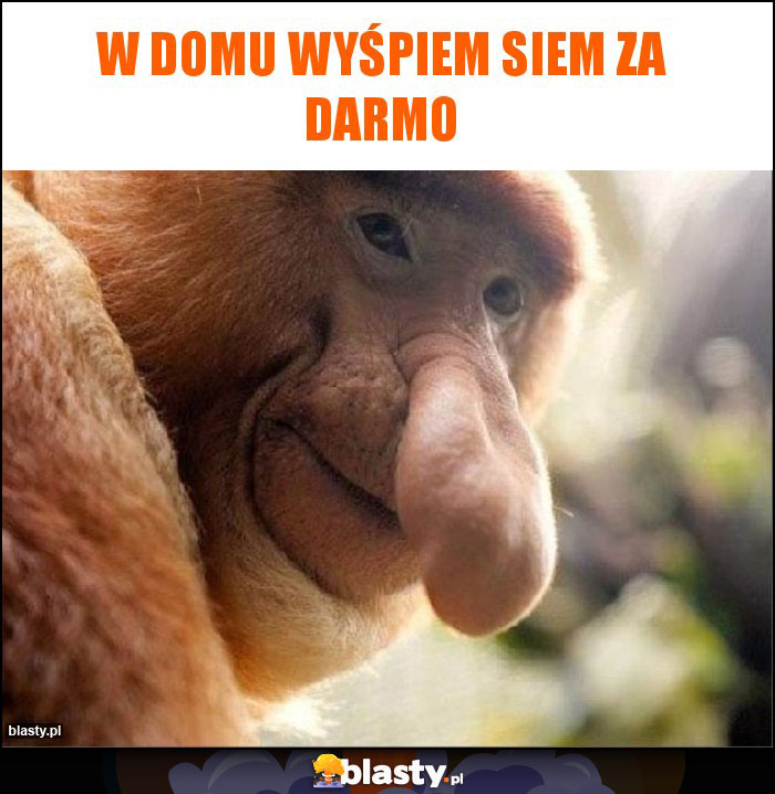 W domu wyśpiem siem za darmo