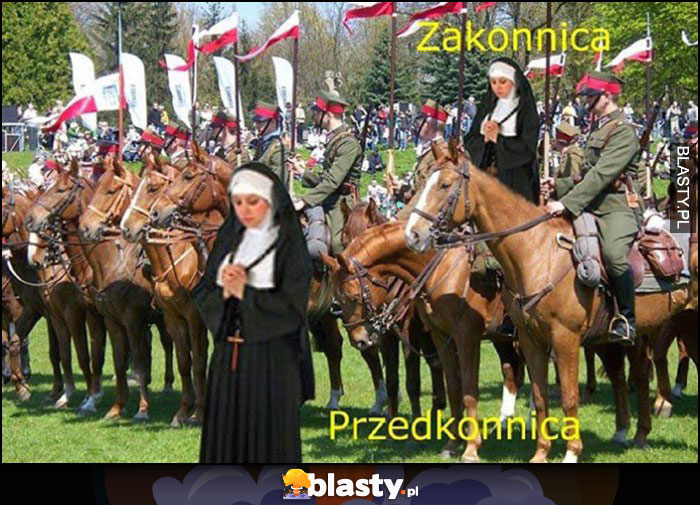 Zakonnica konie przedkonnica dosłownie