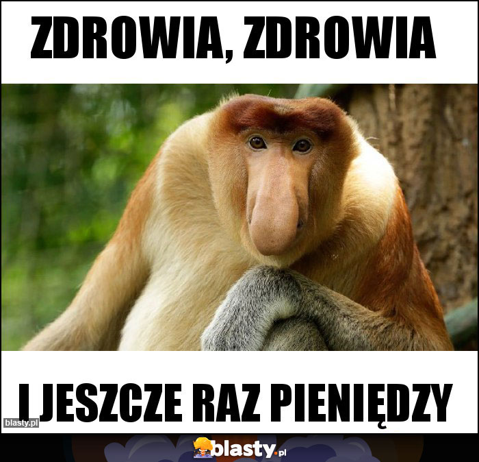 Zdrowia, zdrowia