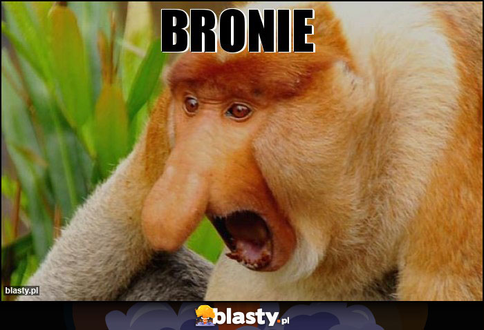 BRONIE