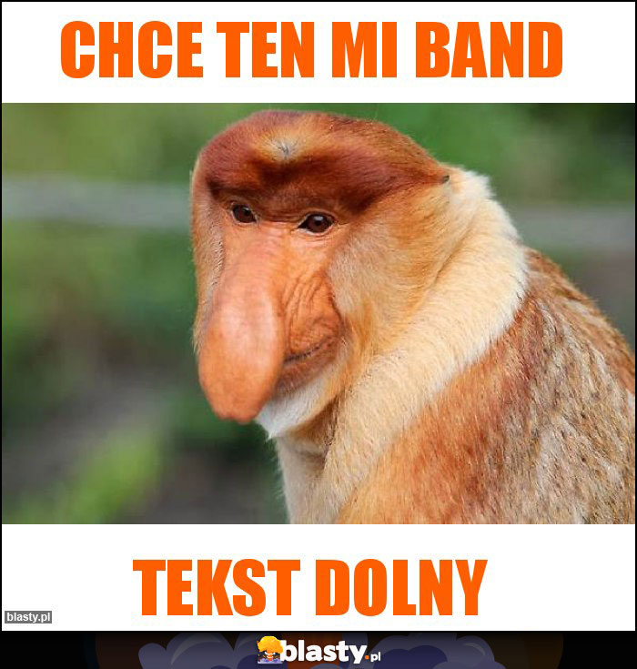 Chce ten mi band