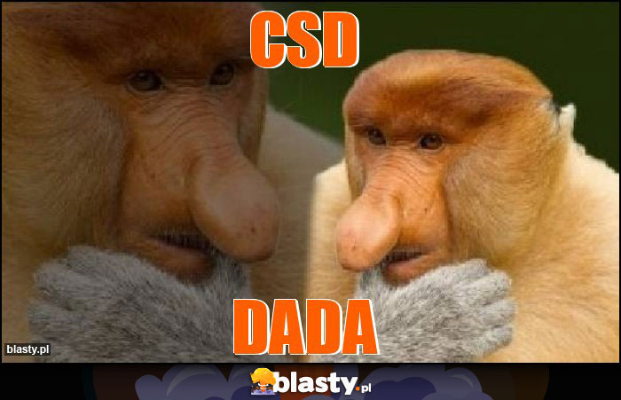 csd