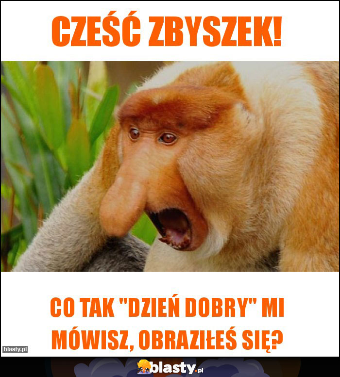 Cześć Zbyszek!