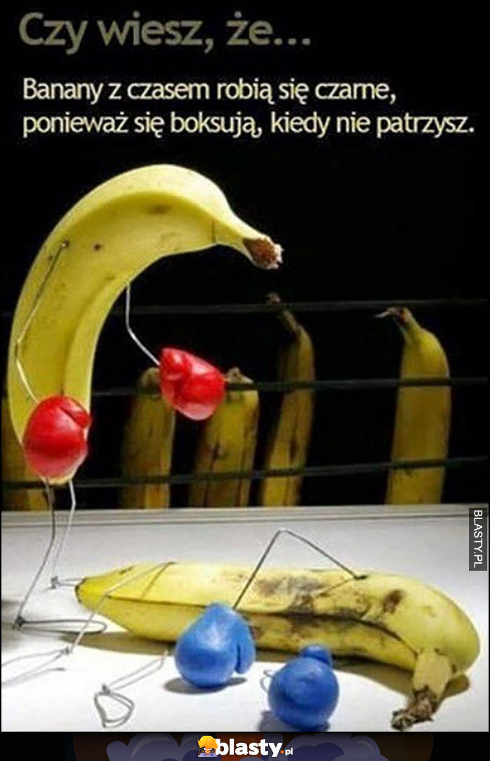 Czy wiesz, że banany czasem robią się czarne, ponieważ boksują się kiedy nie patrzysz