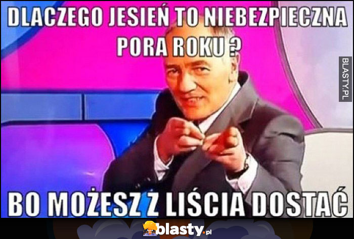 Dlaczego jesień to niebezpieczna pora roku? Bo możesz z liścia dostać suchar Strasburger Familiada