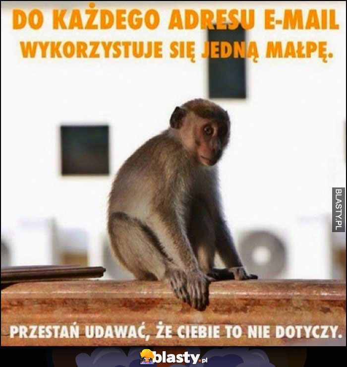 Do każdego adresu e-mail wykorzystuje się jedną małpę, przestań udawać, że Ciebie to nie dotyczy