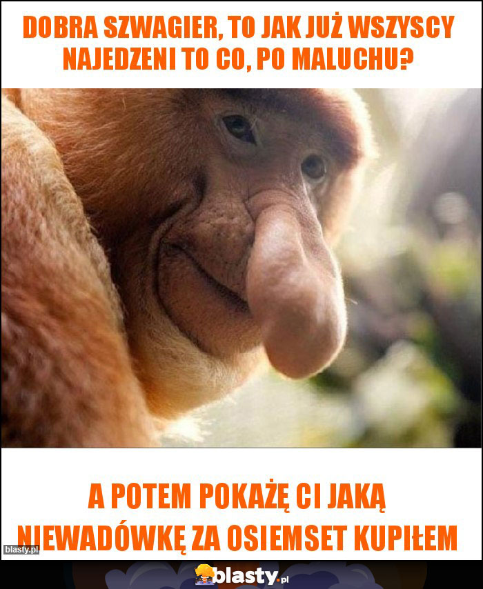 Dobra szwagier, to jak już wszyscy najedzeni to co, po maluchu?