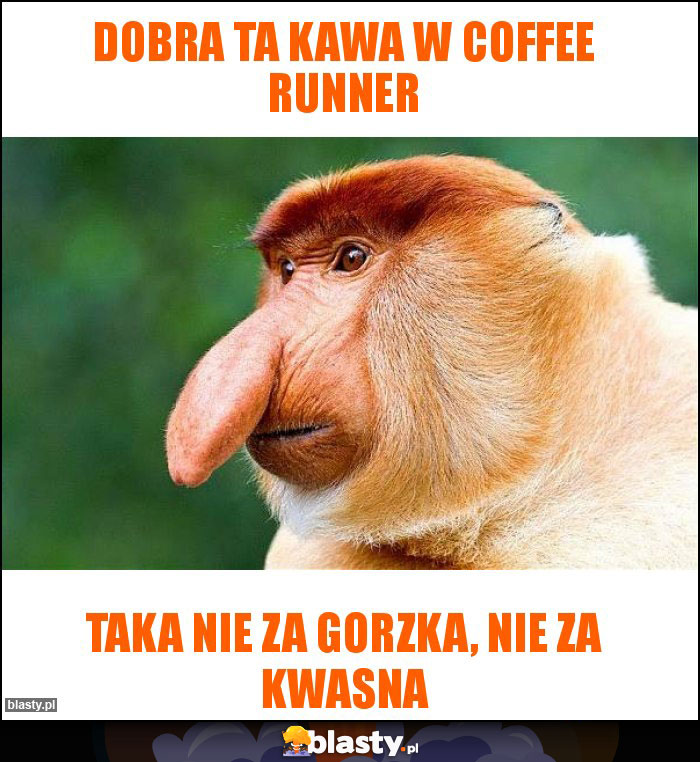 Dobra ta kawa w Coffee Runner