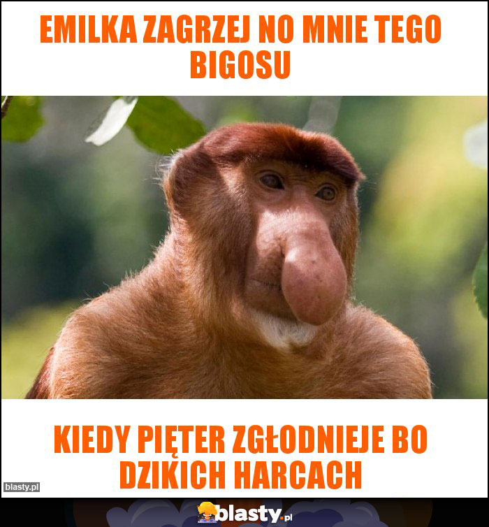 Emilka Zagrzej no mnie tego bigosu