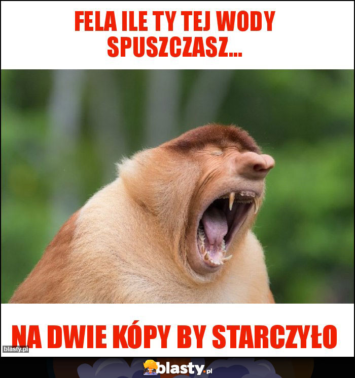 Fela ile ty tej wody spuszczasz...