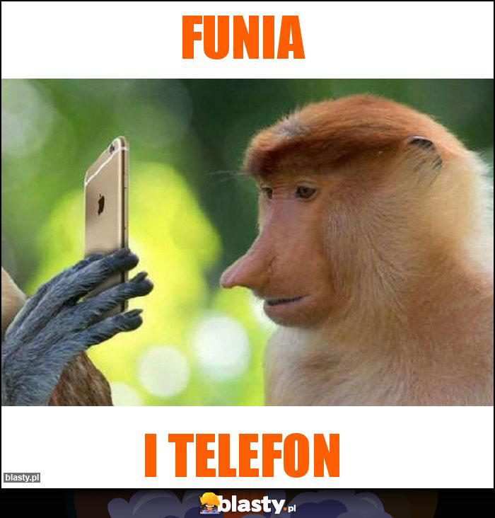Funia