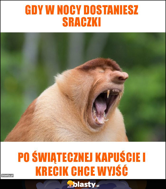 Gdy w nocy dostaniesz sraczki
