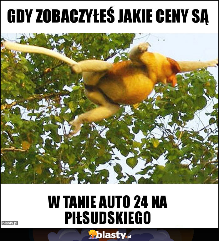 gdy zobaczyłeś jakie ceny są