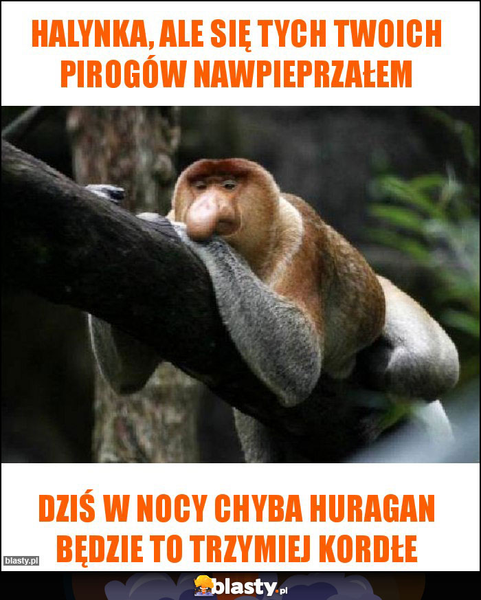 Halynka, ale się tych twoich pirogów nawpieprzałem