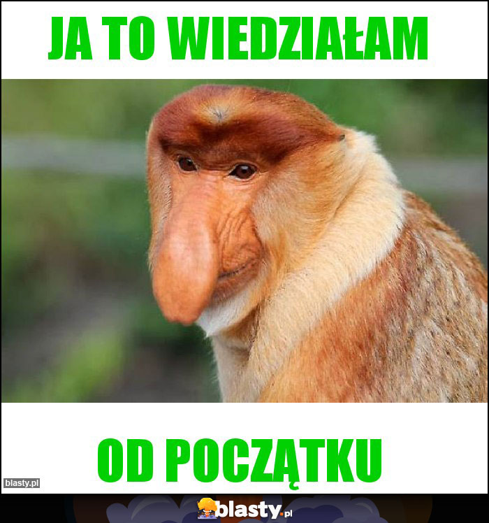 ja to wiedziałam