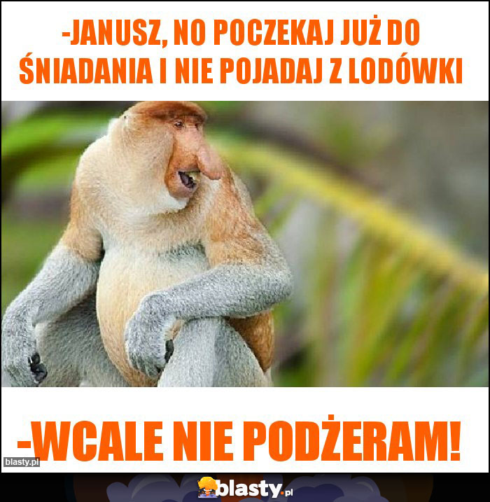 -janusz, no poczekaj już do śniadania i nie pojadaj z lodówki