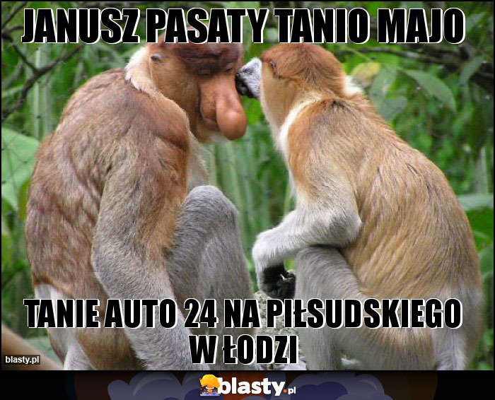Janusz pasaty tanio majo