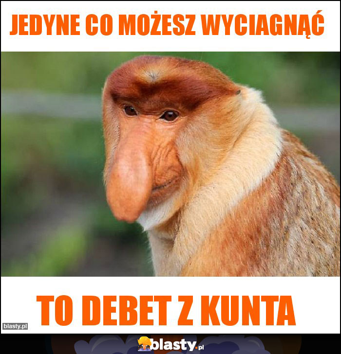 Jedyne co MOŻESZ wyciagnąć
