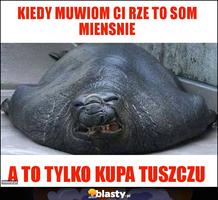Kiedy muwiom Ci rze to som miensnie