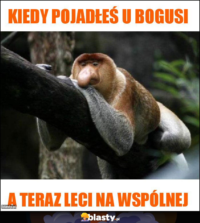 KIEDY POJADŁEŚ U BOGUSI