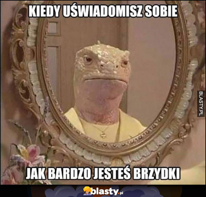 Kiedy uświadomisz sobie jak bardzo jesteś brzydki jaszczurka jaszczur w lustrze