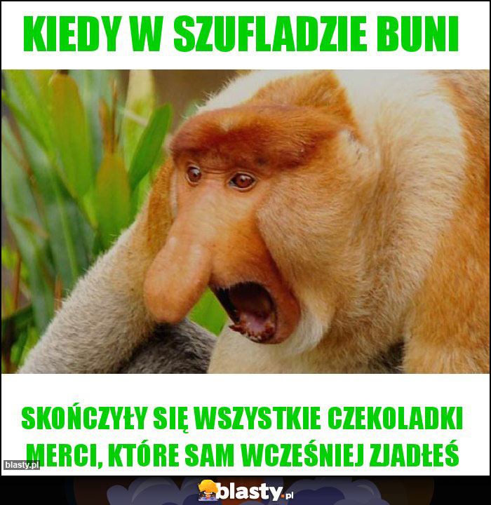 KIEDY W SZUFLADZIE BUNI